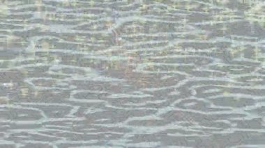 Soyut hareket desenli fütüristik video üretimi için dinamik dijital arkaplan