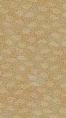 Profesyonel video projeleri sanat tarzı için organik hareketli arkaplan tasarımı