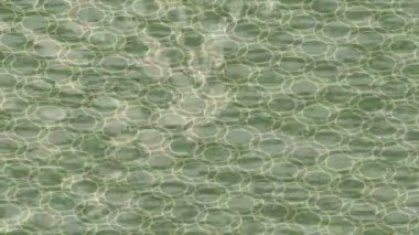 Yaratıcı video düzenleme film tasarımı için benzersiz hareket grafikleri biçimi giriş hareketi video pro