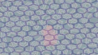 Lüks hareket projeleri için soyut tasarım stili animasyonu olan üst düzey dijital doku