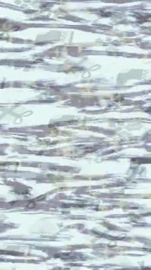 Yaratıcı video düzenleme film tasarımı için benzersiz hareket grafikleri biçimi giriş hareketi video pro