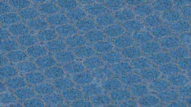 Yaratıcı video düzenleme film tasarımı için benzersiz hareket grafikleri biçimi giriş hareketi video pro