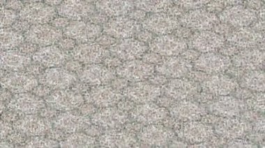 Lüks hareket projeleri için soyut tasarım stili animasyonu olan üst düzey dijital doku