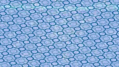 Estetik doku arkaplan tasarımı renkli hareket grafikleri ile moda film giriş profosyoneli