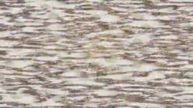 Yaratıcı video düzenleme film tasarımı için benzersiz hareket grafikleri biçimi giriş hareketi video pro