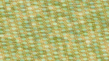 Benzersiz hareket dokusu tasarım sanatı ile profesyonel video düzenleme için modern soyut grafikler