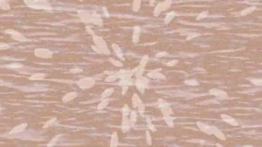 Organik desenli yüzey giriş stili video film sanatı ile soyut arkaplan tasarımı