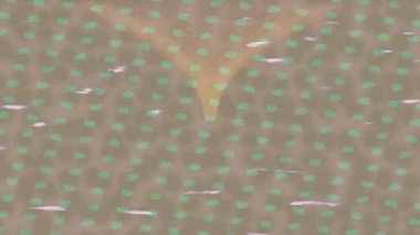 Soyut hareket desenli fütüristik video üretimi için dinamik dijital arkaplan