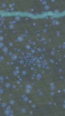 Benzersiz hareket grafikleri tasarım sanatına sahip yaratıcı film üretimi için özet bir arkaplan