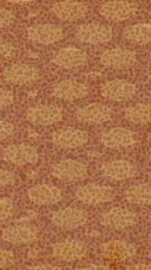 Modern medya üretimi için fütüristik dijital soyut doku sinematik tarz hareketli grafik ögesi