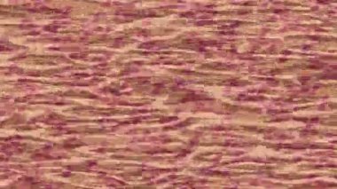 Benzersiz dijital hareket grafiklerine sahip yaratıcı sinematik projeler için yumuşak animasyon yüzeyi