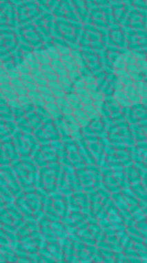 Benzersiz dijital hareket grafiklerine sahip yaratıcı sinematik projeler için yumuşak animasyon yüzeyi