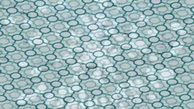 Benzersiz dijital hareket grafiklerine sahip yaratıcı sinematik projeler için yumuşak animasyon yüzeyi