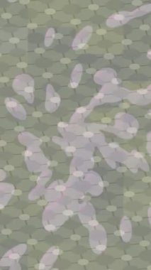 Yaratıcı video düzenleme film tasarımı için benzersiz hareket grafikleri biçimi giriş hareketi video pro