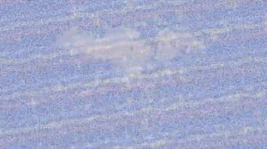 Benzersiz video giriş tasarımı projeleri için detaylı yüzey kalıbı film animasyon stili grafik girişi