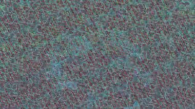 Dijital doku yüzey tasarım biçimi ile modern video animasyonu için gelişmiş hareket grafikleri