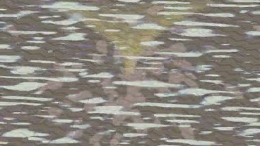 Organik desenli yüzey giriş stili video film sanatı ile soyut arkaplan tasarımı