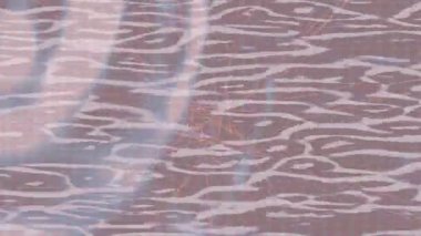 Yaratıcı video düzenleme film arkaplan tasarımı için minimalist organik hareket grafikleri