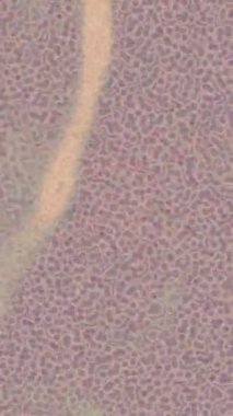 Lüks hareket projeleri için soyut tasarım stili animasyonu olan üst düzey dijital doku