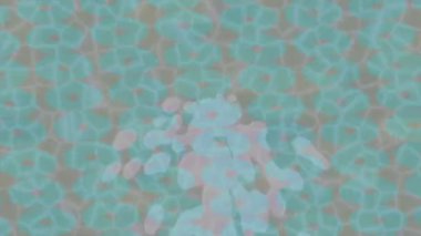 Yaratıcı video düzenleme film arkaplan tasarımı için minimalist organik hareket grafikleri