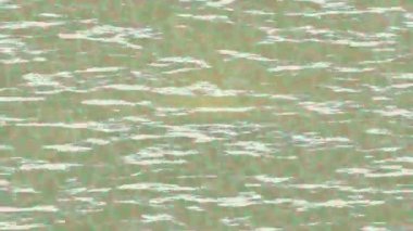 Estetik doku arkaplan tasarımı renkli hareket grafikleri ile moda film giriş profosyoneli