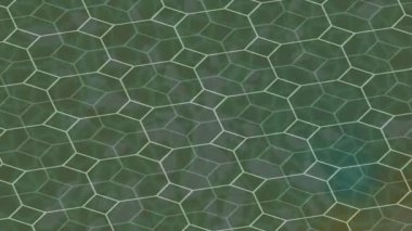 Benzersiz dijital hareket grafiklerine sahip yaratıcı sinematik projeler için yumuşak animasyon yüzeyi