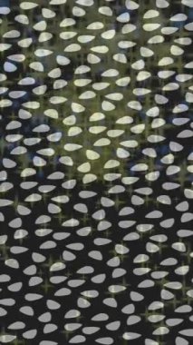 Benzersiz hareket grafikleri tasarım sanatına sahip yaratıcı film üretimi için özet bir arkaplan