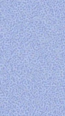 Yaratıcı video düzenleme film tasarımı için benzersiz hareket grafikleri biçimi giriş hareketi video pro