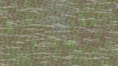 Benzersiz dijital hareket grafiklerine sahip yaratıcı sinematik projeler için yumuşak animasyon yüzeyi