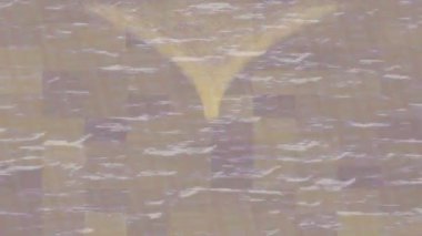 Yaratıcı video düzenleme film tasarımı için benzersiz hareket grafikleri biçimi giriş hareketi video pro