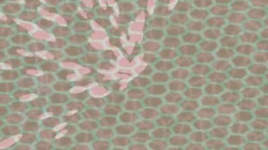 Organik desenli yüzey giriş stili video film sanatı ile soyut arkaplan tasarımı