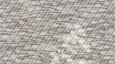 Organik desenli yüzey giriş stili video film sanatı ile soyut arkaplan tasarımı