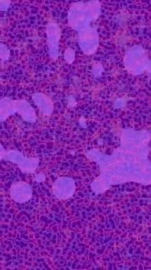 Benzersiz dijital animasyon tarzı grafikleri olan yaratıcı ortam tasarımı için yenilikçi hareket dokusu