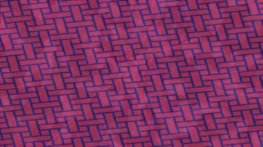 Lüks hareket tasarımı üst düzey video projeleri ve dijital sanat için zarif, pürüzsüz bir dokusu var.