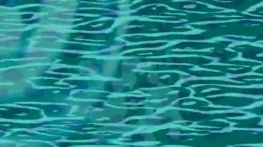 Estetik doku arkaplan tasarımı renkli hareket grafikleri ile moda film giriş profosyoneli