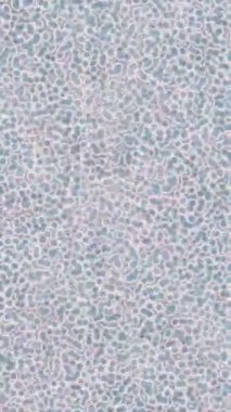 Soyut hareket desenli fütüristik video üretimi için dinamik dijital arkaplan