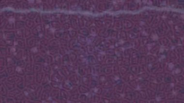 Lüks hareket projeleri için soyut tasarım stili animasyonu olan üst düzey dijital doku