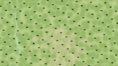 Benzersiz video giriş tasarımı projeleri için detaylı yüzey kalıbı film animasyon stili grafik girişi