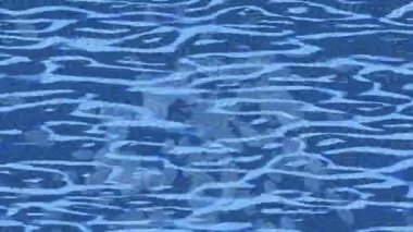 Benzersiz video giriş tasarımı projeleri için detaylı yüzey kalıbı film animasyon stili grafik girişi