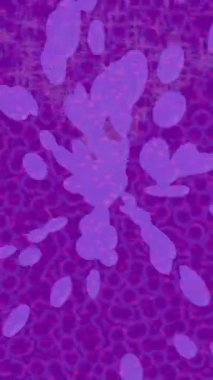 Benzersiz dijital hareket grafiklerine sahip yaratıcı sinematik projeler için yumuşak animasyon yüzeyi