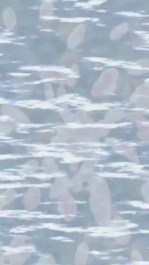 Yaratıcı video düzenleme film arkaplan tasarımı için minimalist organik hareket grafikleri