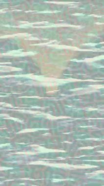 Yaratıcı video düzenleme film arkaplan tasarımı için minimalist organik hareket grafikleri