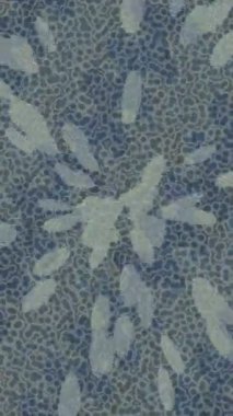 Profesyonel video projeleri sanat tarzı için organik hareketli arkaplan tasarımı