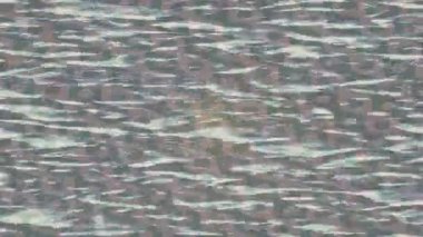 Lüks hareket projeleri için soyut tasarım stili animasyonu olan üst düzey dijital doku