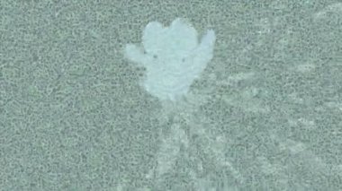 Benzersiz video giriş tasarımı projeleri için detaylı yüzey kalıbı film animasyon stili grafik girişi