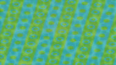 Benzersiz hareket dokusu tasarım sanatı ile profesyonel video düzenleme için modern soyut grafikler