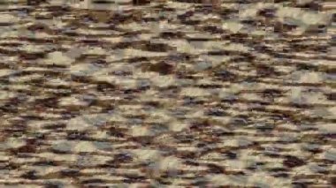 Estetik doku arkaplan tasarımı renkli hareket grafikleri ile moda film giriş profosyoneli