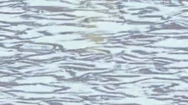 Benzersiz dijital hareket grafiklerine sahip yaratıcı sinematik projeler için yumuşak animasyon yüzeyi