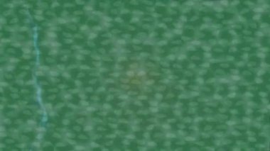 Dijital doku yüzey tasarım biçimi ile modern video animasyonu için gelişmiş hareket grafikleri