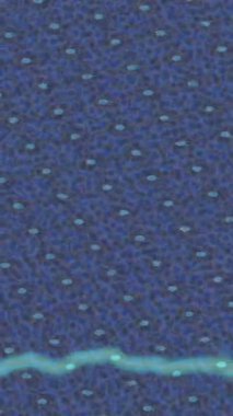 Lüks hareket tasarımı üst düzey video projeleri ve dijital sanat için zarif, pürüzsüz bir dokusu var.